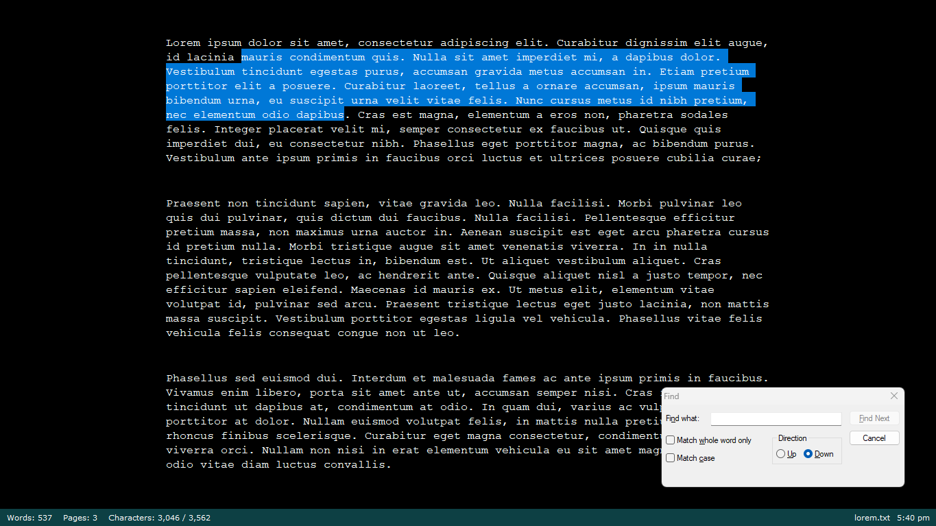 Screenshot of the Q10 Word Processor